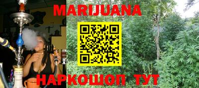 мяу мяу мука Партизанск