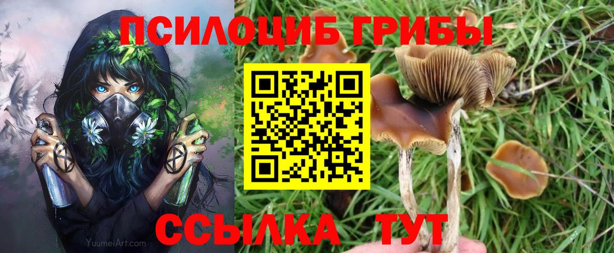 Псилоцибиновые грибы Magic Shrooms  Вход с VPN  Саяногорск 